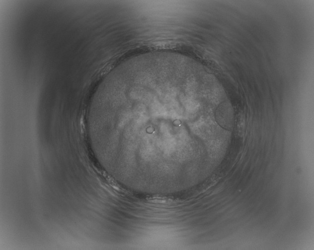 X0000070180746200606091506