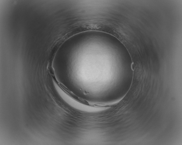 X0000070180747200606091506