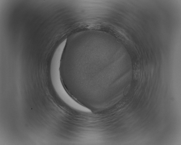 X0000070180748200606091506