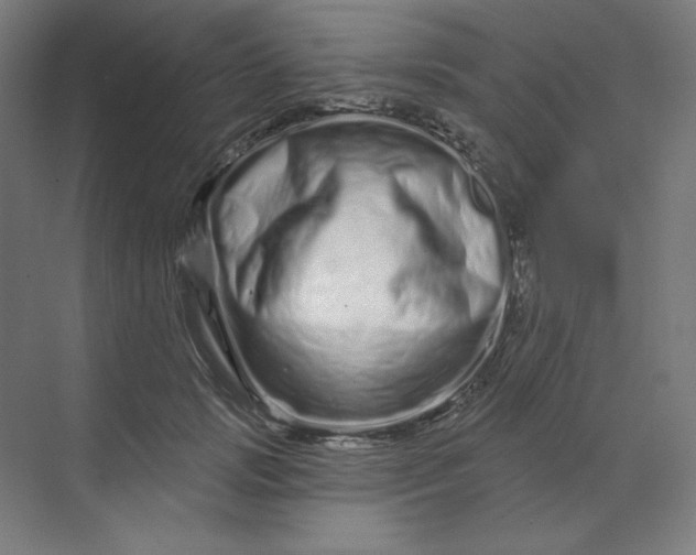 X0000070180749200606091506