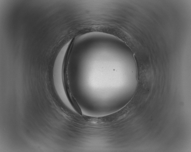 X0000070180750200606091506