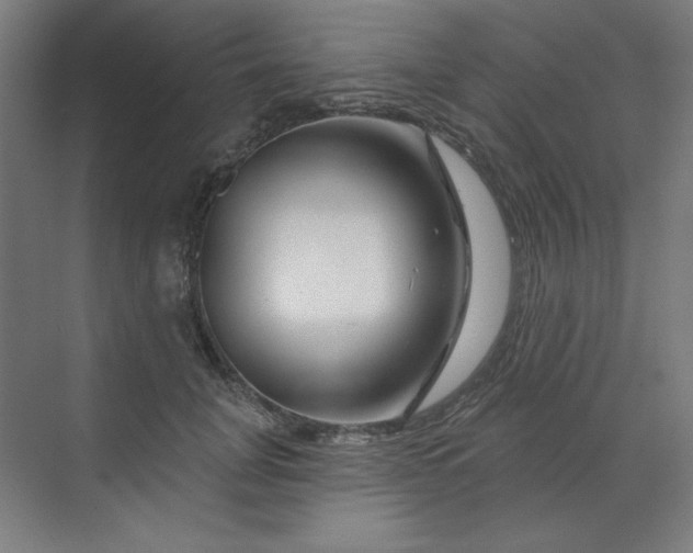 X0000070180751200606091506