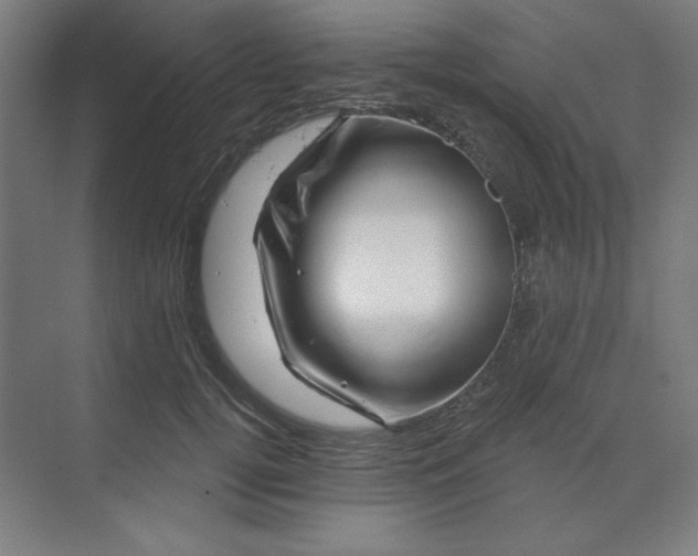 X0000070180752200606091506