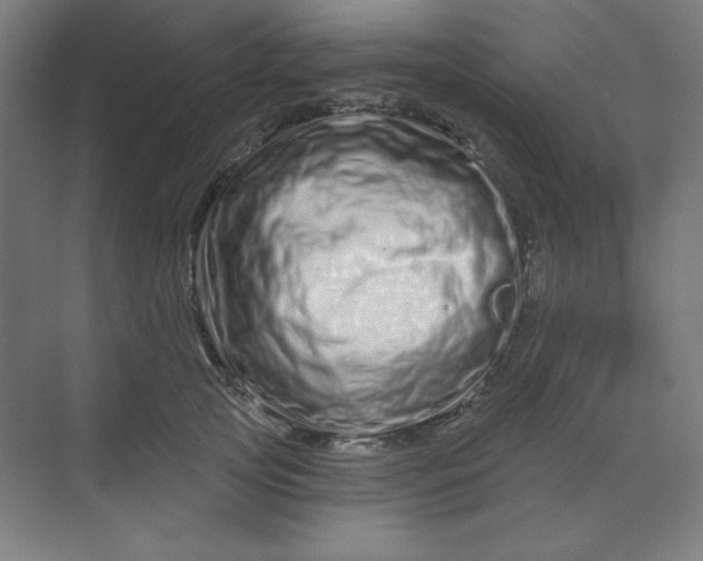 X0000070180753200606091506