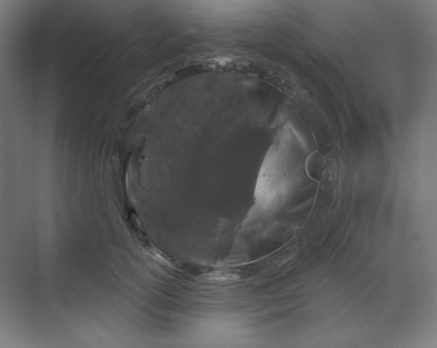 X0000070180754200606091506