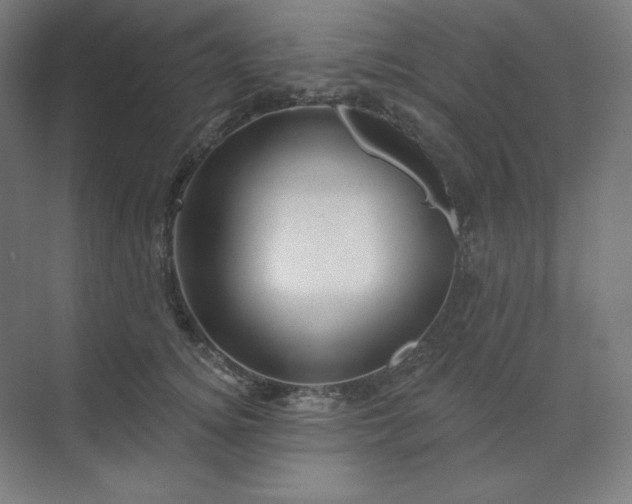 X0000070180756200606091506