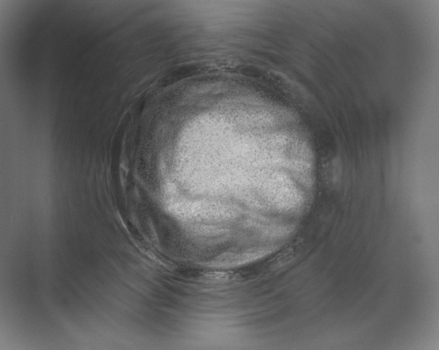 X0000070180757200606091506