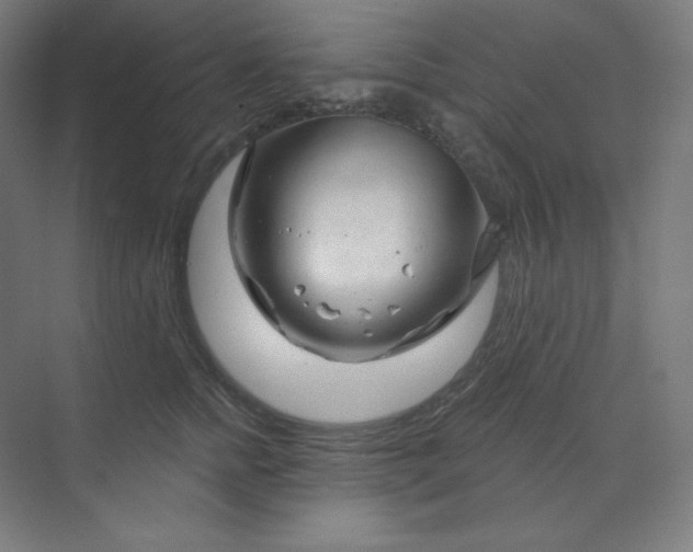 X0000070180758200606091506