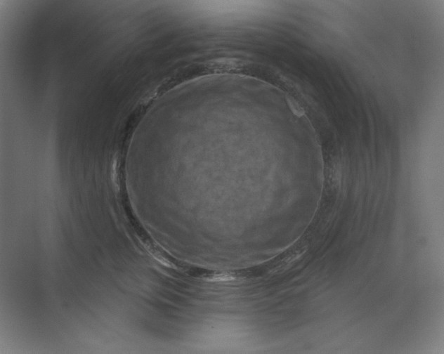 X0000070180759200606091506