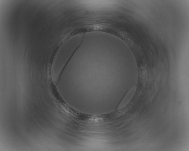 X0000070180760200606091506