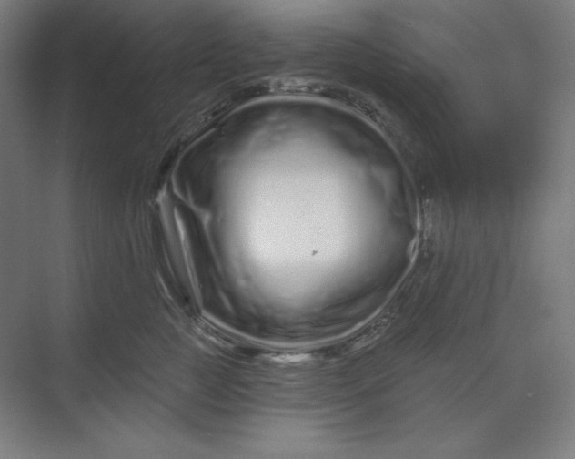 X0000070180761200606091506