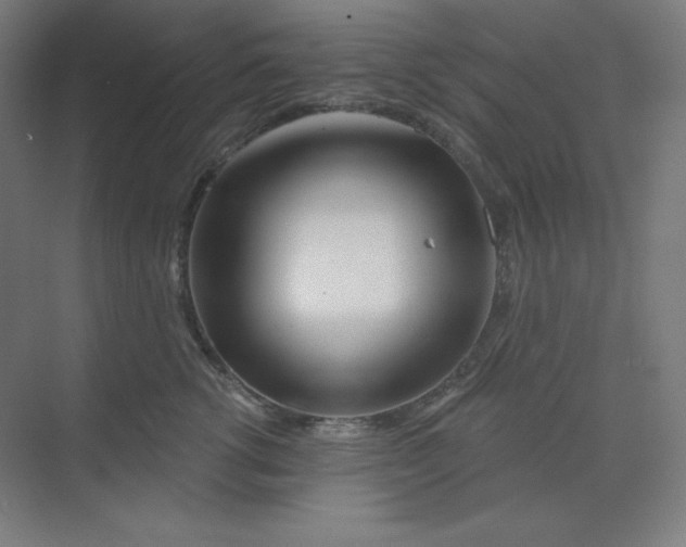 X0000070180762200606091506