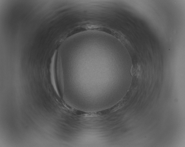 X0000070180763200606091506