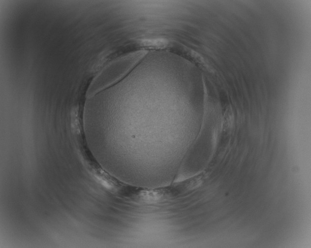 X0000070180764200606091506