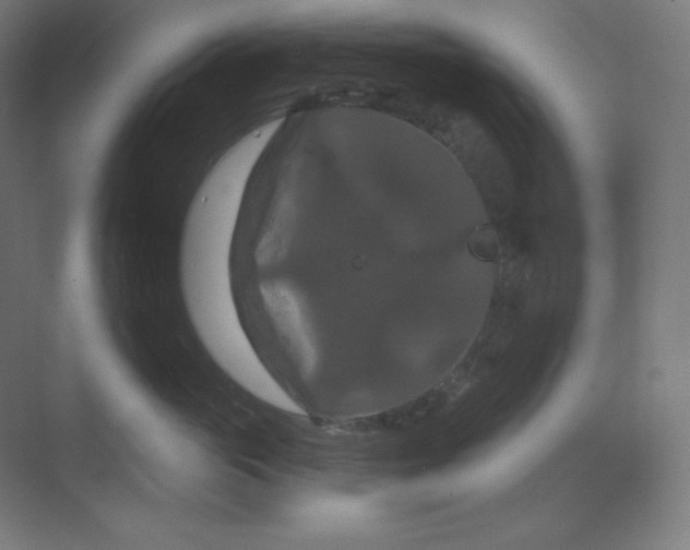 X0000070180765200606091506