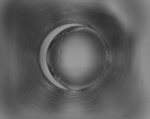 X0000070180766200606091506