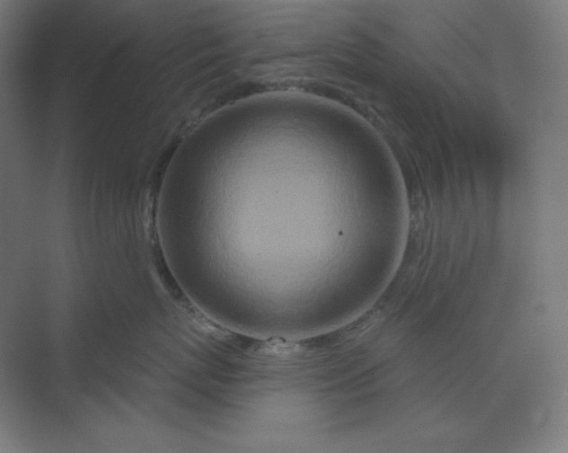 X0000070180767200606091506