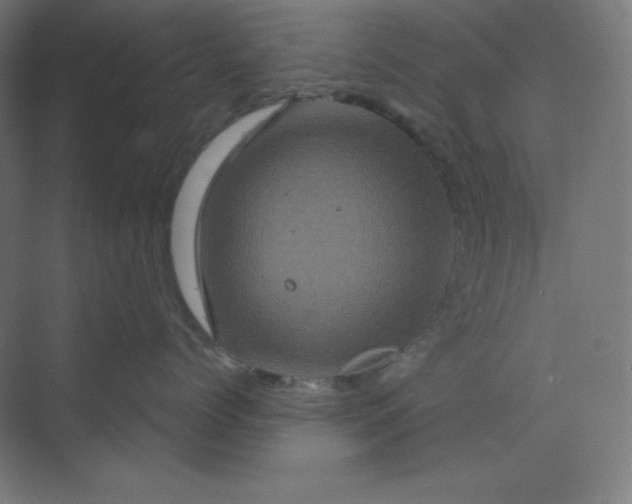 X0000070180768200606091506