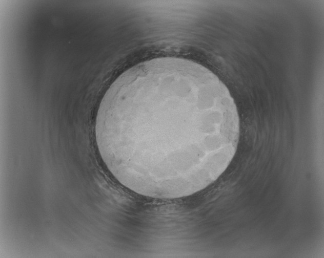 X0000070180769200606091506