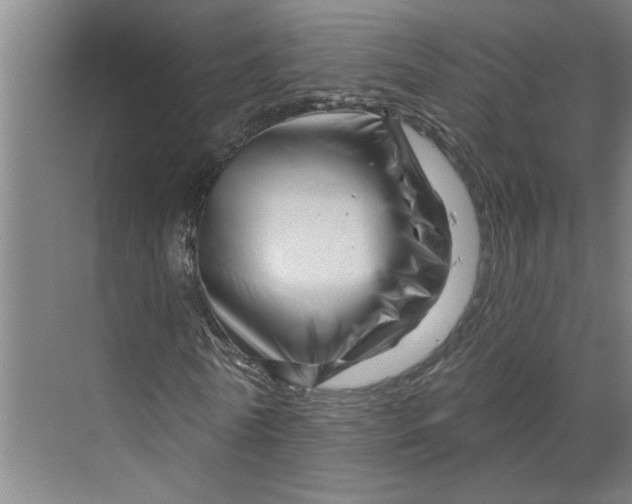 X0000070180770200606091506