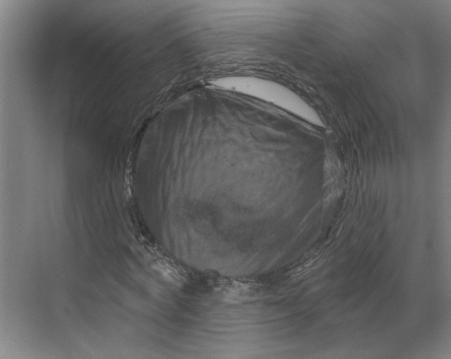 X0000070180772200606091505