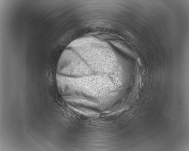 X0000070180774200606091505