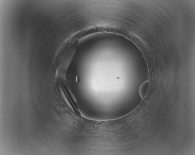 X0000070180776200606091505