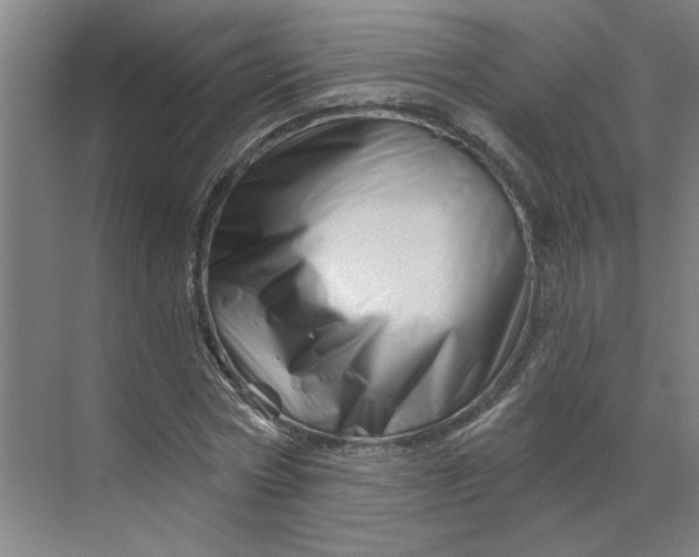 X0000070180778200606091505