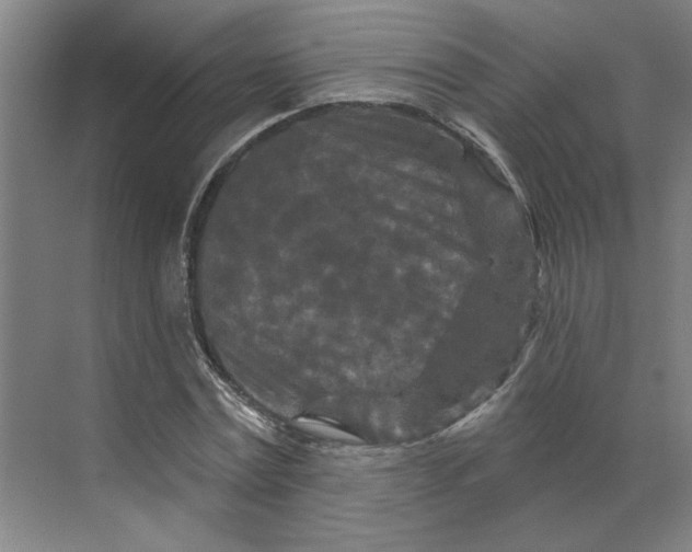 X0000070180779200606091505