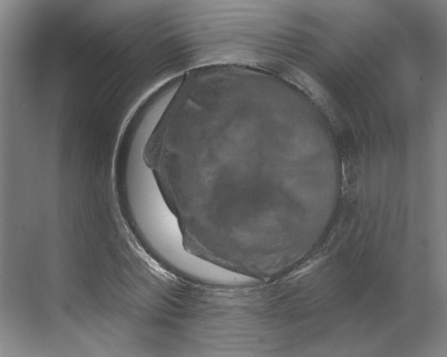 X0000070180780200606091505