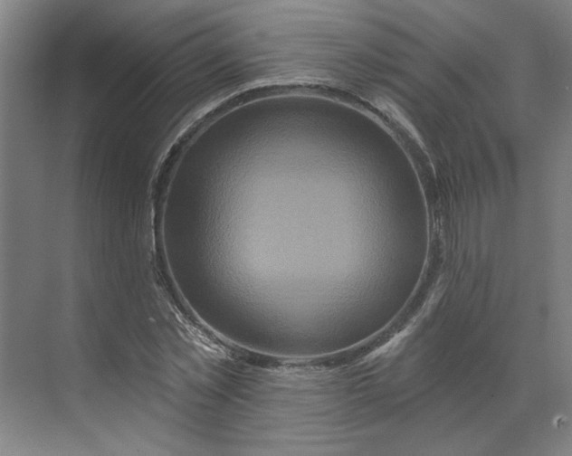 X0000070180781200606091505