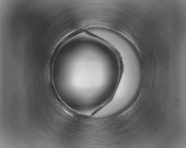 X0000070180782200606091505