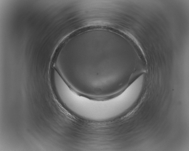 X0000070180783200606091505