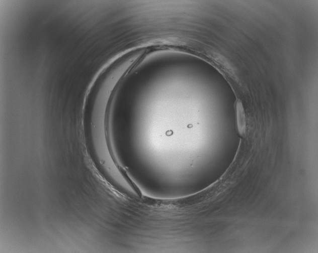 X0000070180784200606091505