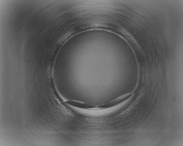 X0000070180785200606091505