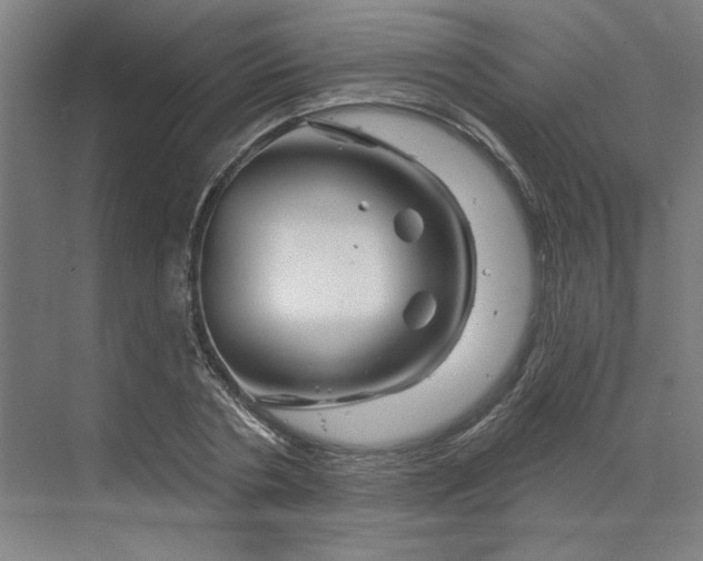 X0000070180786200606091505