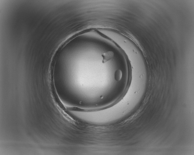 X0000070180787200606091505