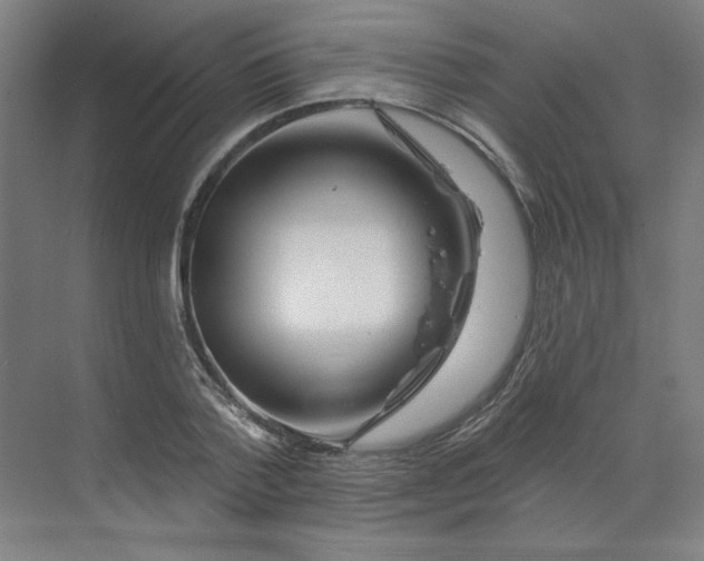 X0000070180788200606091505