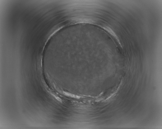 X0000070180790200606091505