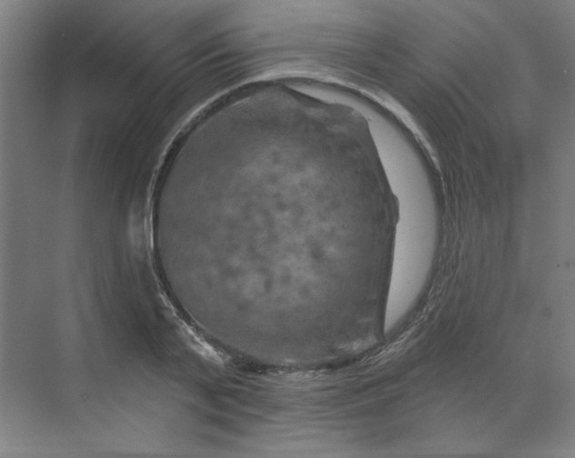 X0000070180791200606091505