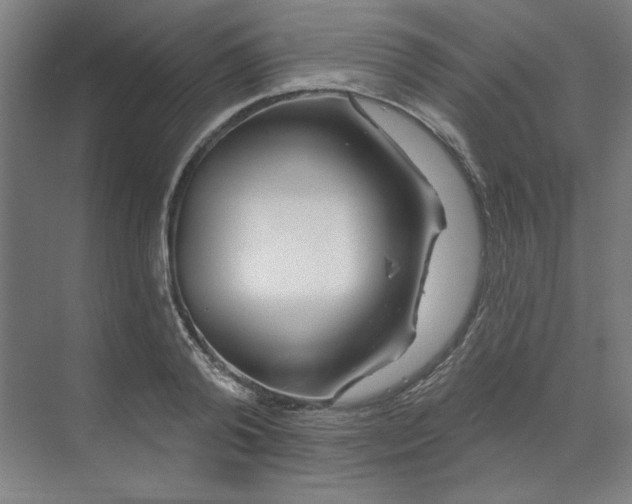 X0000070180792200606091505