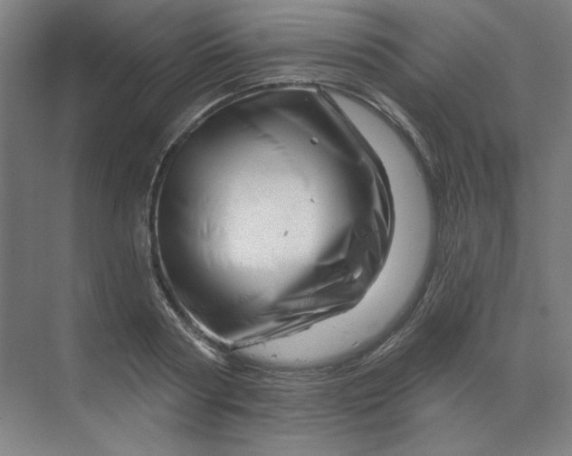 X0000070180794200606091505