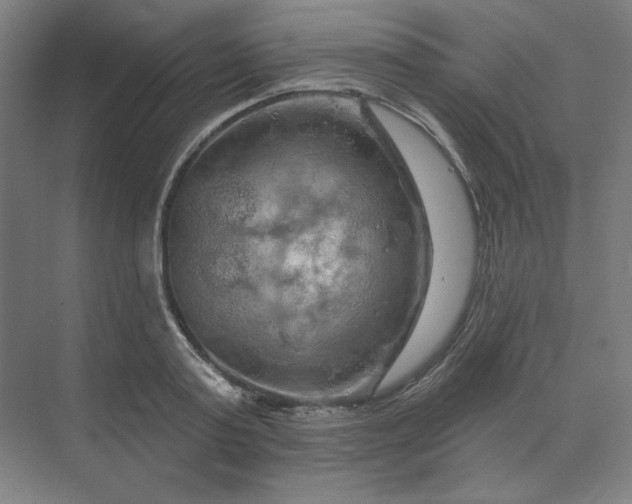 X0000070180795200606091505