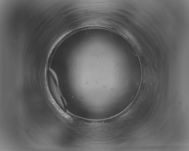 X0000070180796200606091505