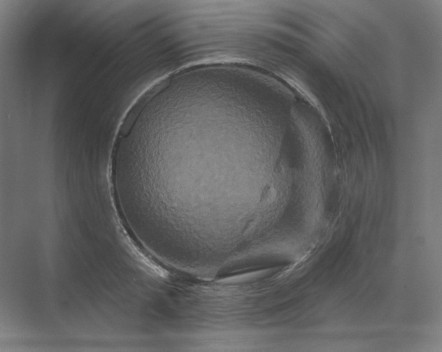 X0000070180797200606091505