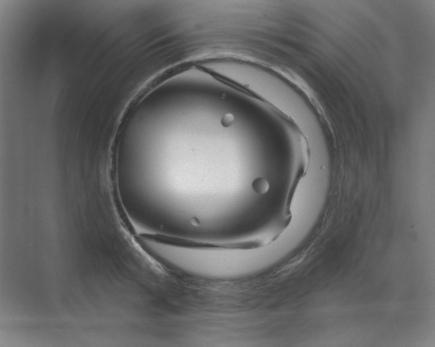 X0000070180799200606091505