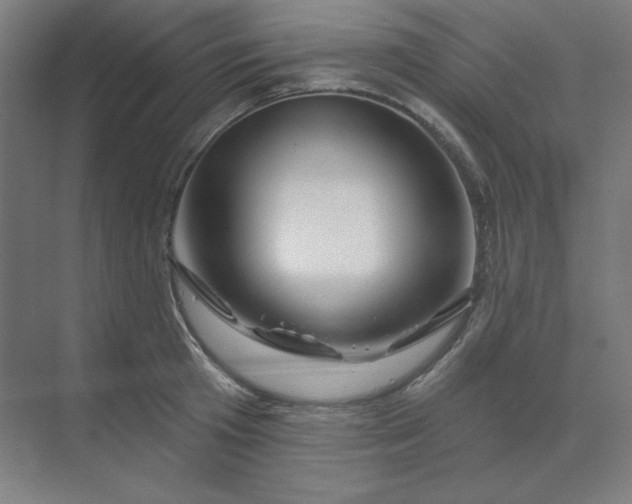 X0000070180801200606091505