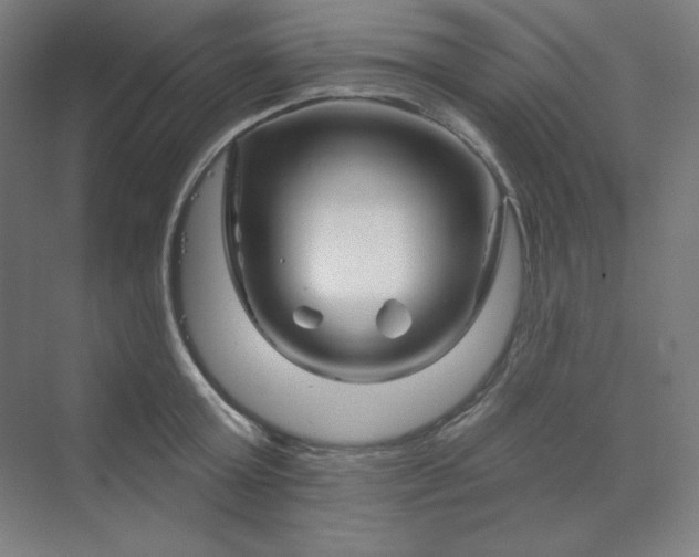 X0000070180803200606091505