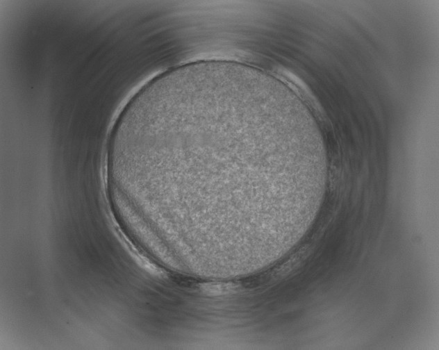 X0000070180804200606091505