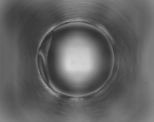 X0000070180805200606091505